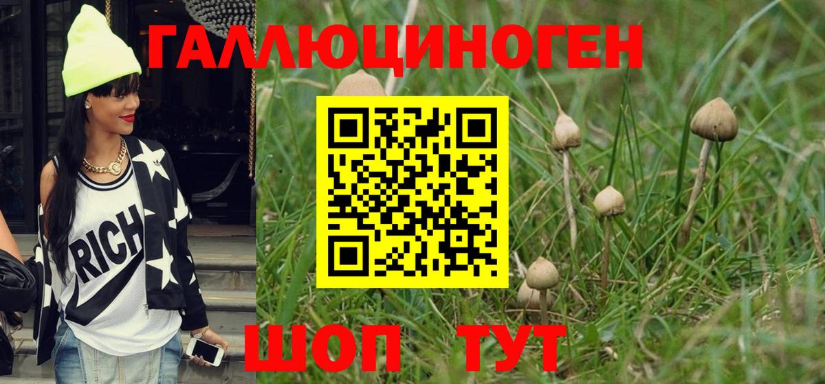Псилоцибиновые грибы ЛСД Похвистнево